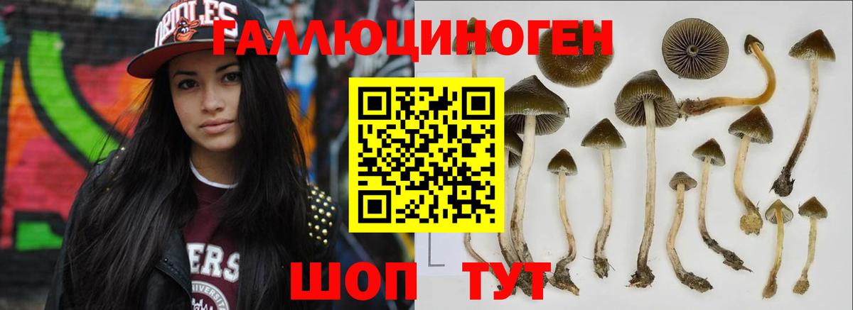 Псилоцибиновые грибы ЛСД  Вход с VPN  Рассказово  Галлюциногенные грибы мухоморы 